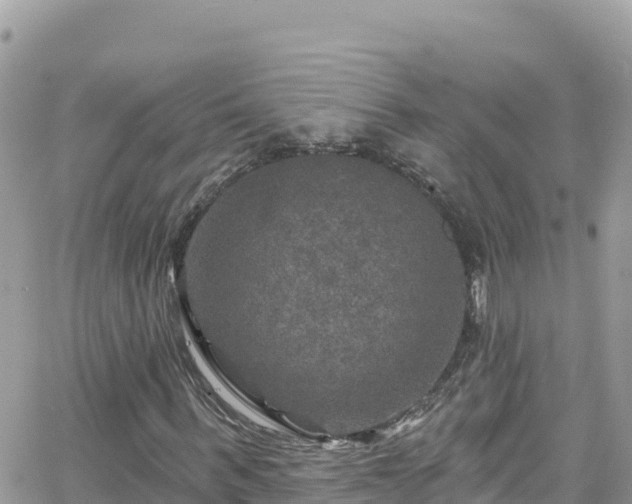 X0000066510963200603241302