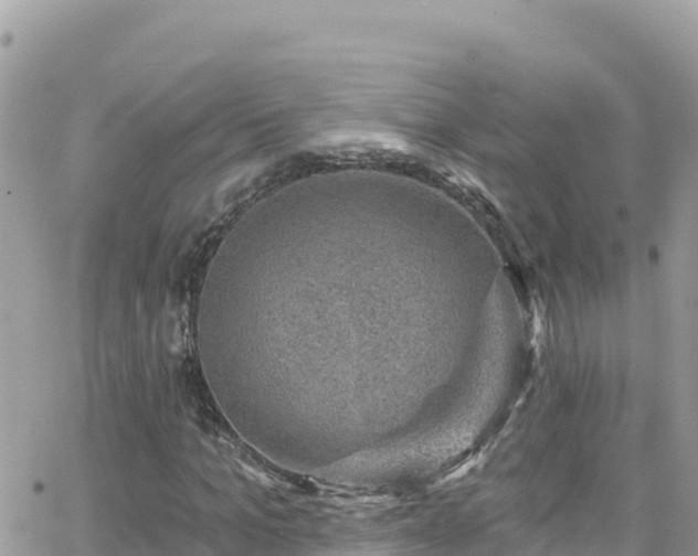 X0000066510965200603241302