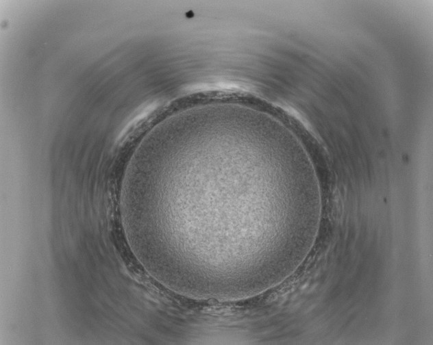 X0000066510967200603241302