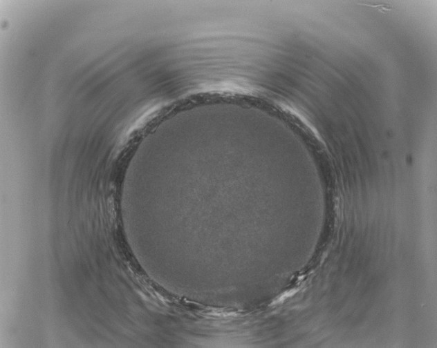 X0000066510968200603241302