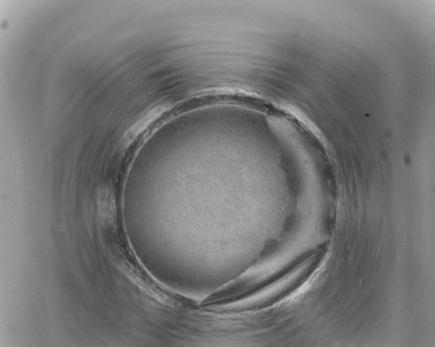 X0000066510969200603241302