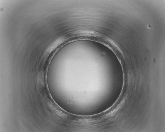 X0000066510970200603241302