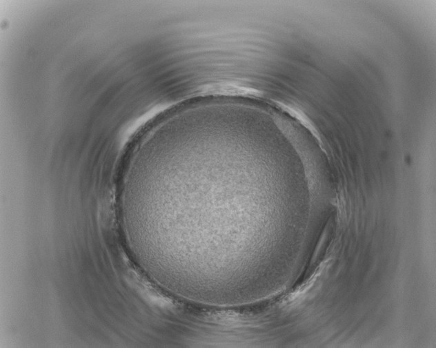 X0000066510971200603241302