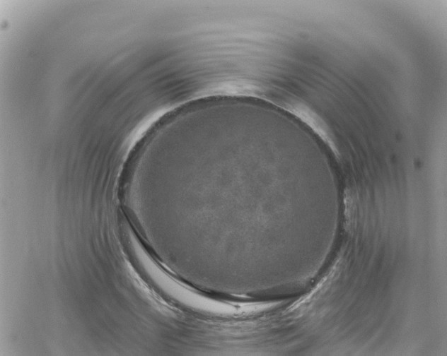 X0000066510972200603241302