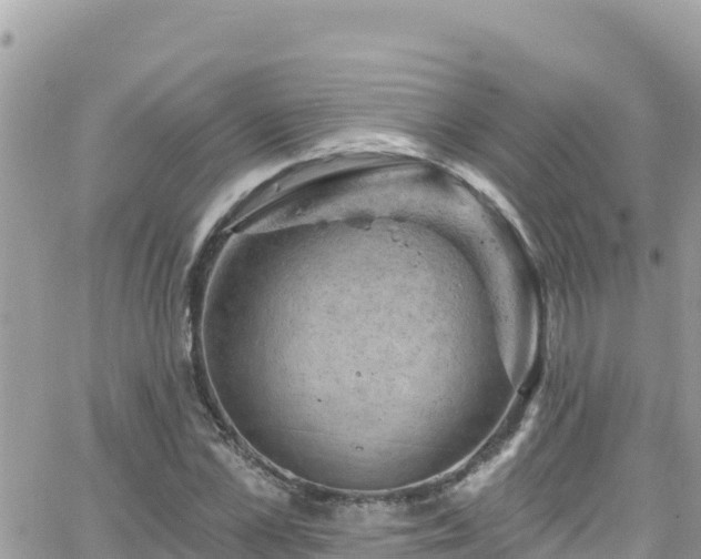 X0000066510973200603241302