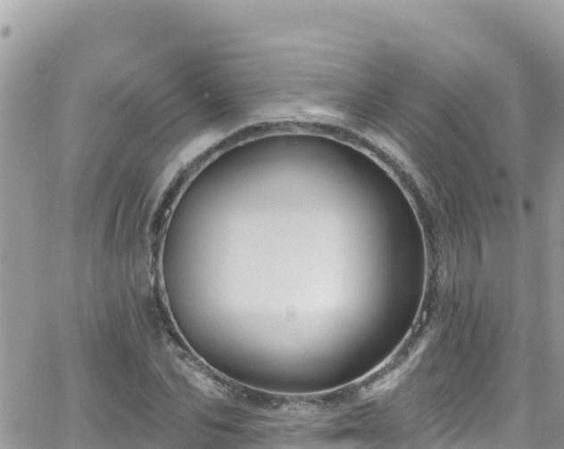 X0000066510974200603241302