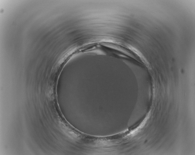 X0000066510977200603241302