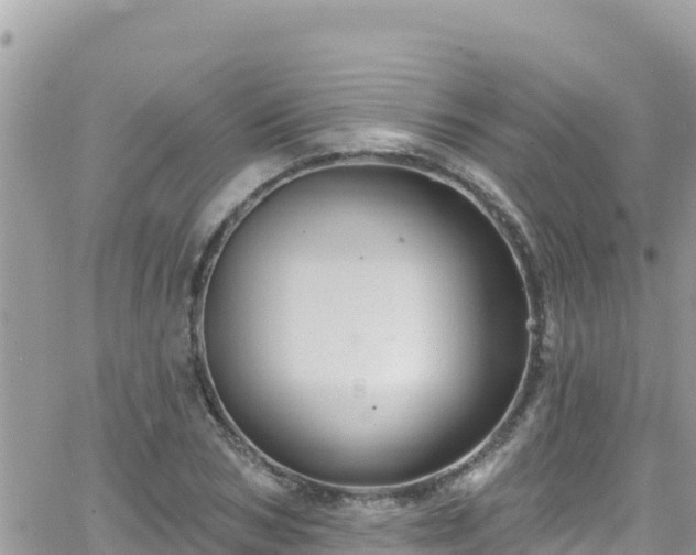 X0000066510978200603241302