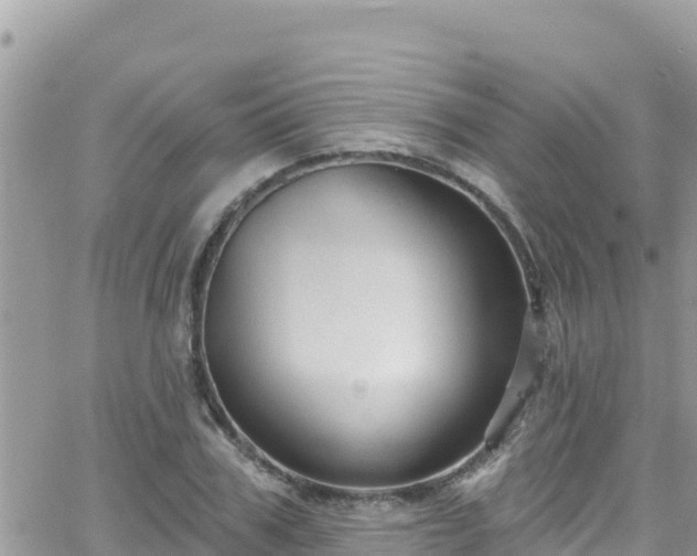 X0000066510979200603241302