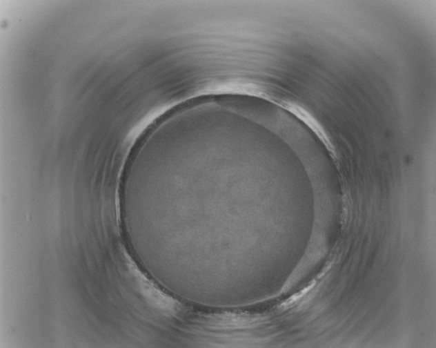 X0000066510980200603241302