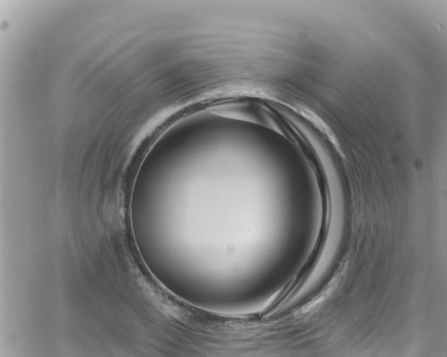 X0000066510981200603241302