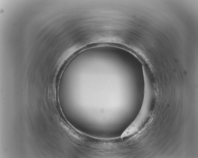 X0000066510982200603241302