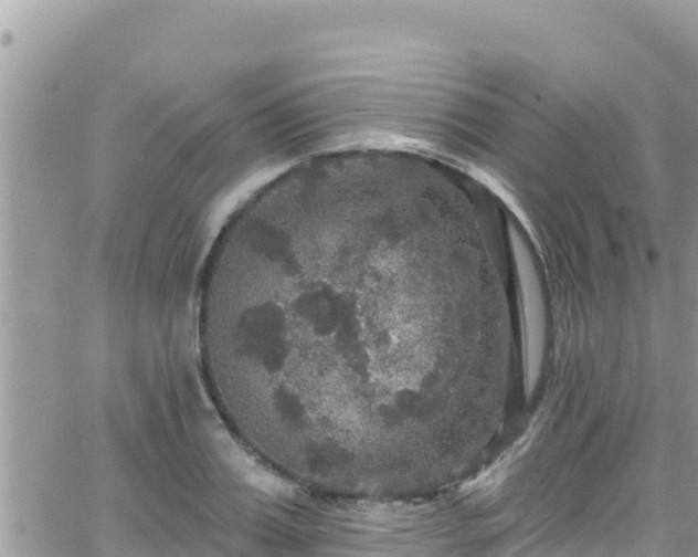 X0000066510987200603241302