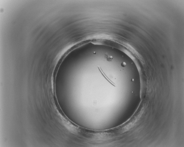 X0000066510988200603241302