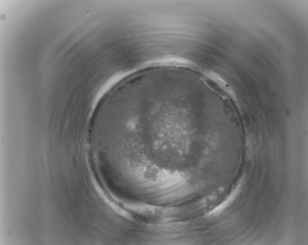 X0000066510989200603241302