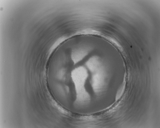 X0000066510990200603241302