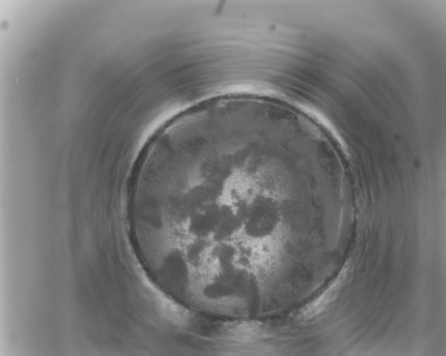 X0000066510991200603241302