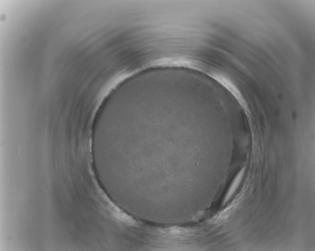 X0000066510992200603241302