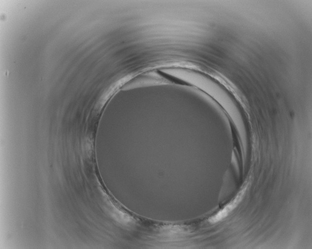 X0000066510993200603241302