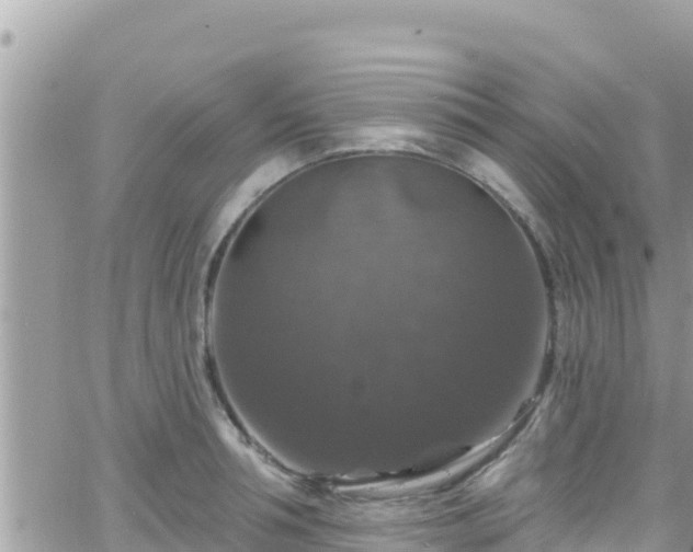 X0000066510994200603241302