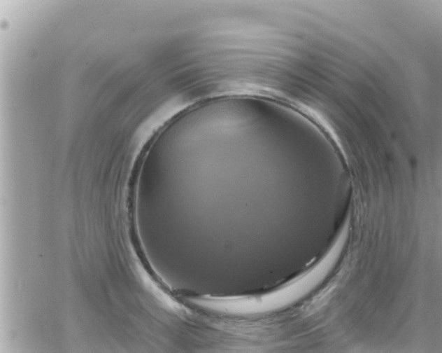 X0000066510995200603241302