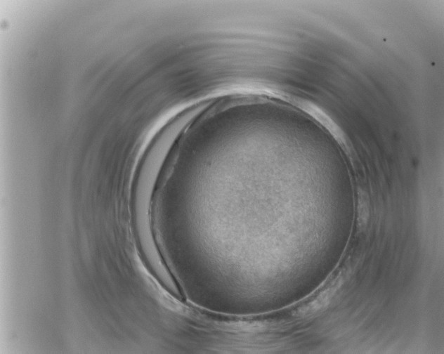 X0000066510996200603241302