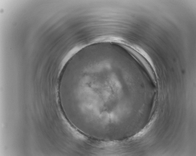 X0000066510997200603241302