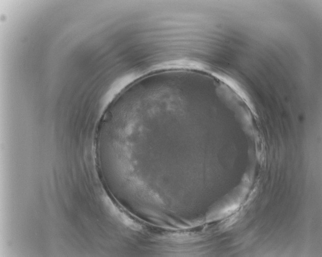 X0000066510998200603241302