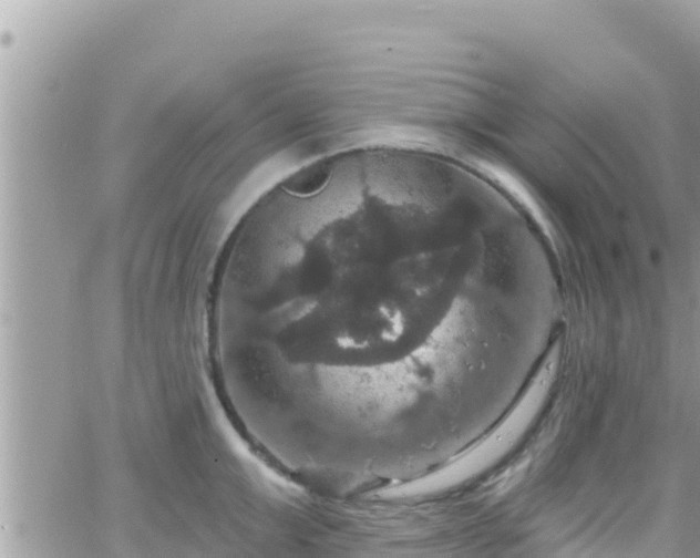 X0000066510999200603241302