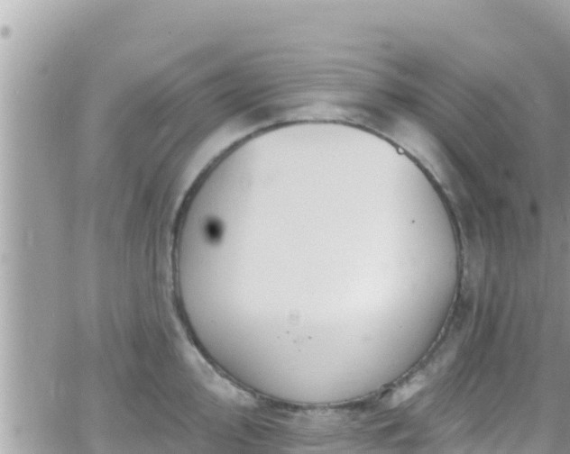 X0000066511000200603241302