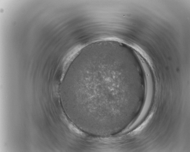 X0000066511001200603241302