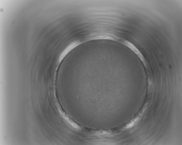 X0000066511002200603241302