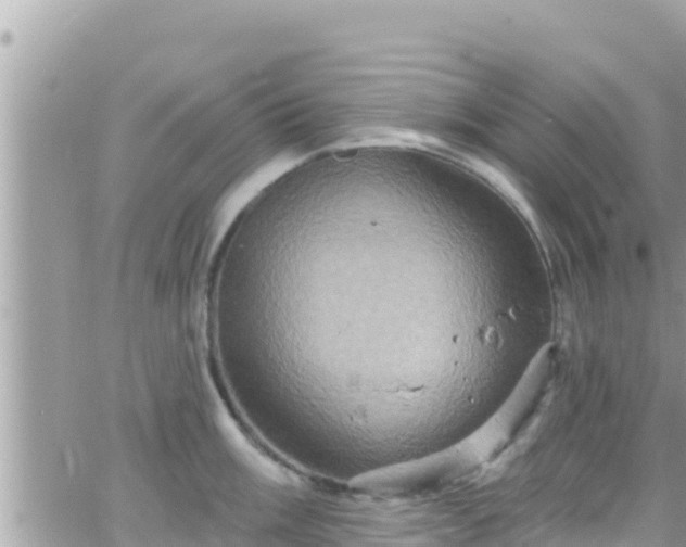 X0000066511003200603241302