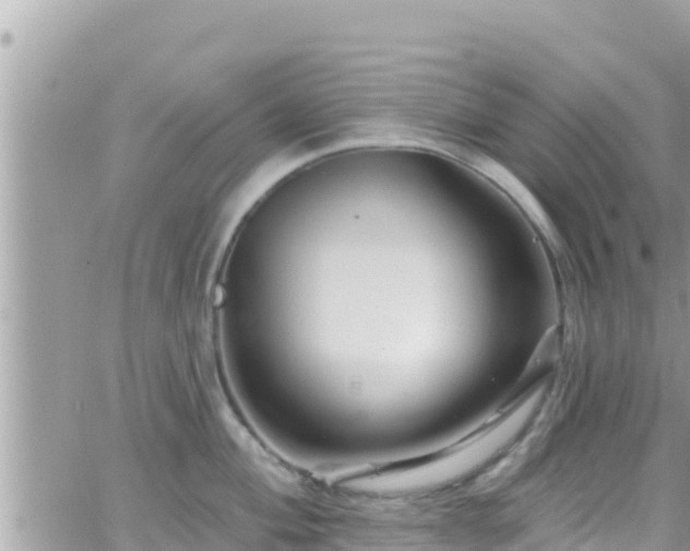 X0000066511004200603241302