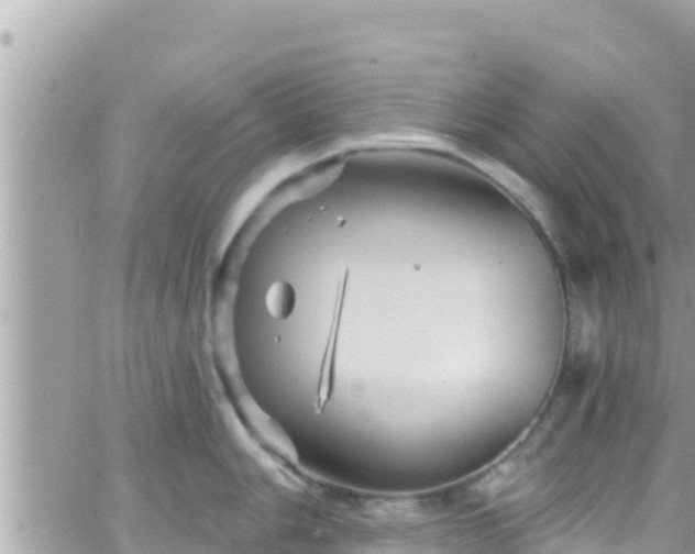 X0000066511006200603241302