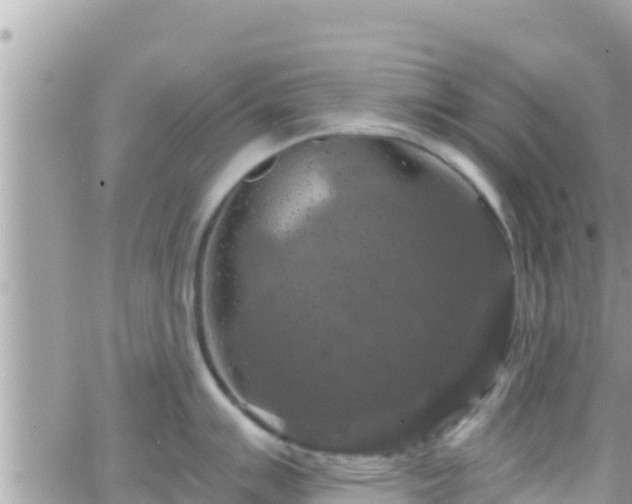 X0000066511007200603241302