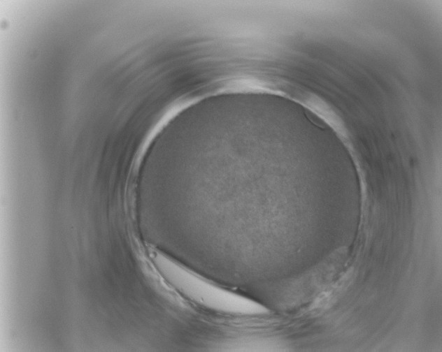 X0000066511008200603241302