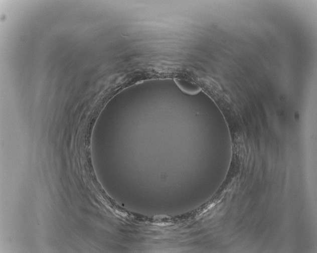 X0000066511009200603241301