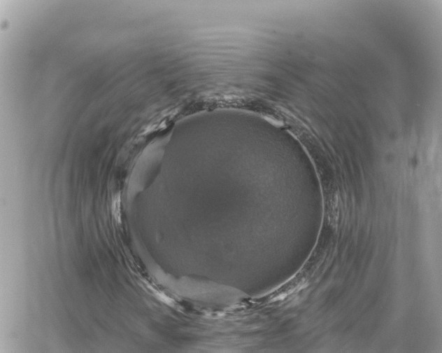 X0000066511010200603241301