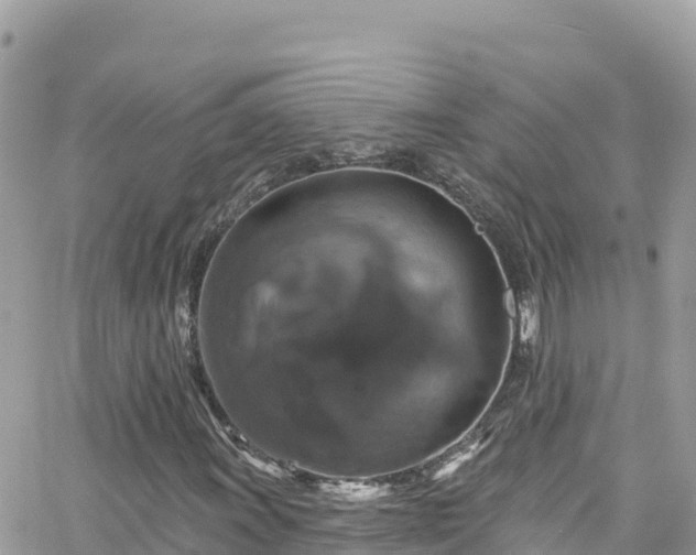 X0000066511011200603241301