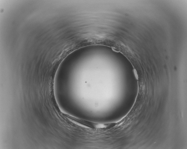 X0000066511012200603241301