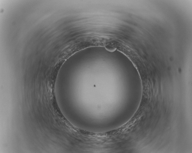 X0000066511013200603241301