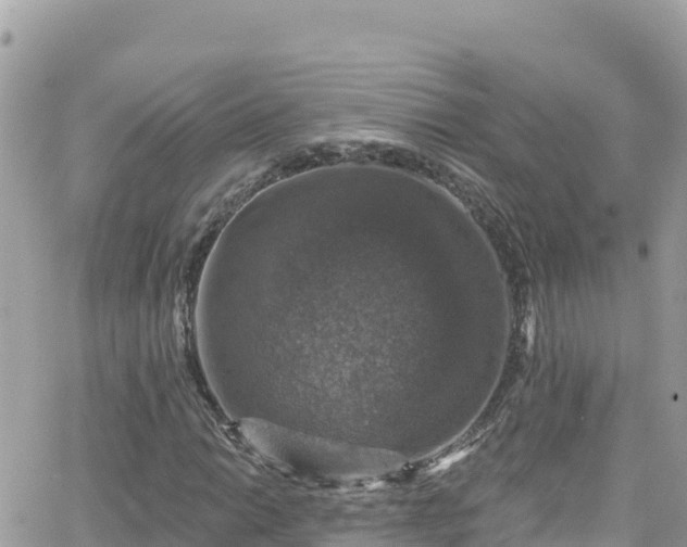 X0000066511014200603241301