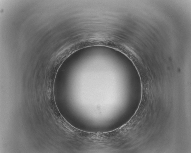 X0000066511015200603241301