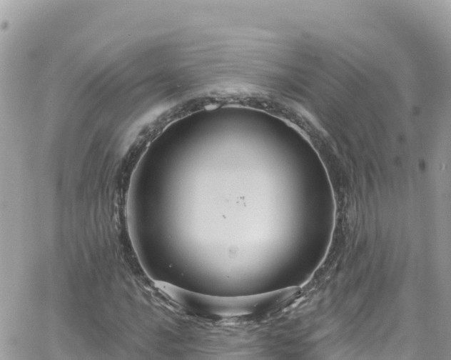 X0000066511016200603241301