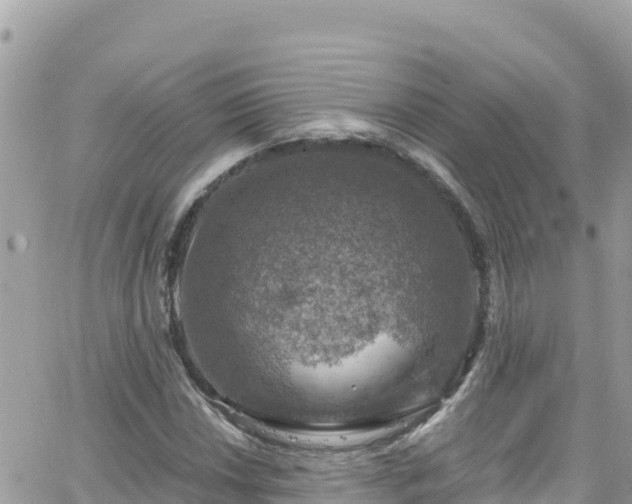 X0000066511018200603241301