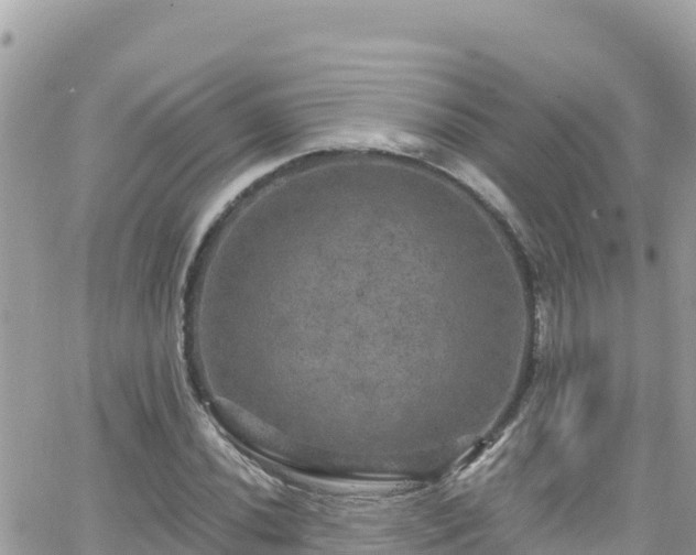 X0000066511020200603241301