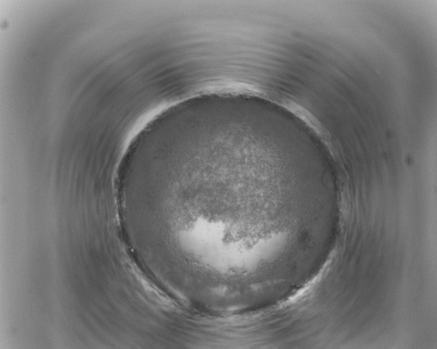 X0000066511022200603241301