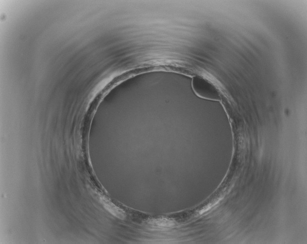 X0000066511023200603241301