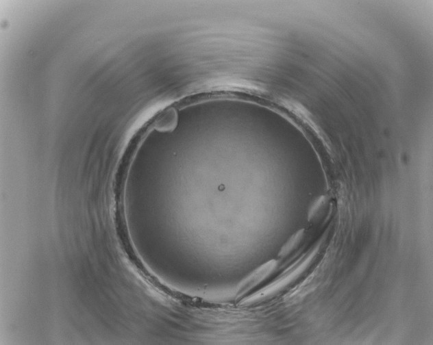 X0000066511024200603241301